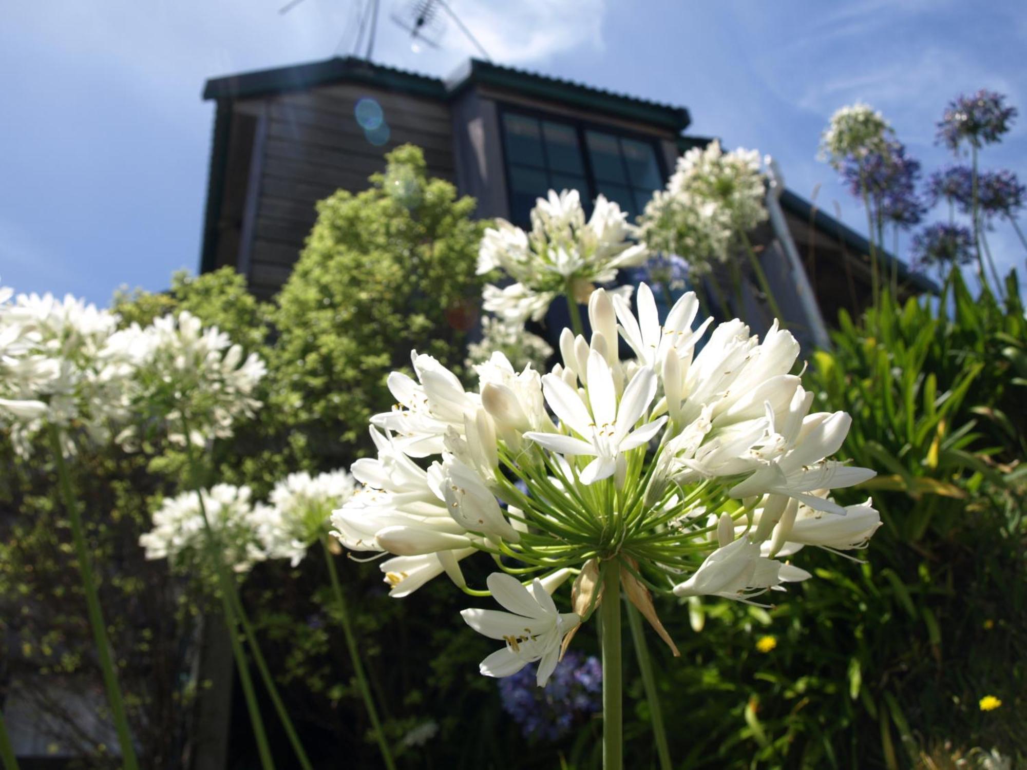 Grafton Cottage & Chalets Темз Екстериор снимка